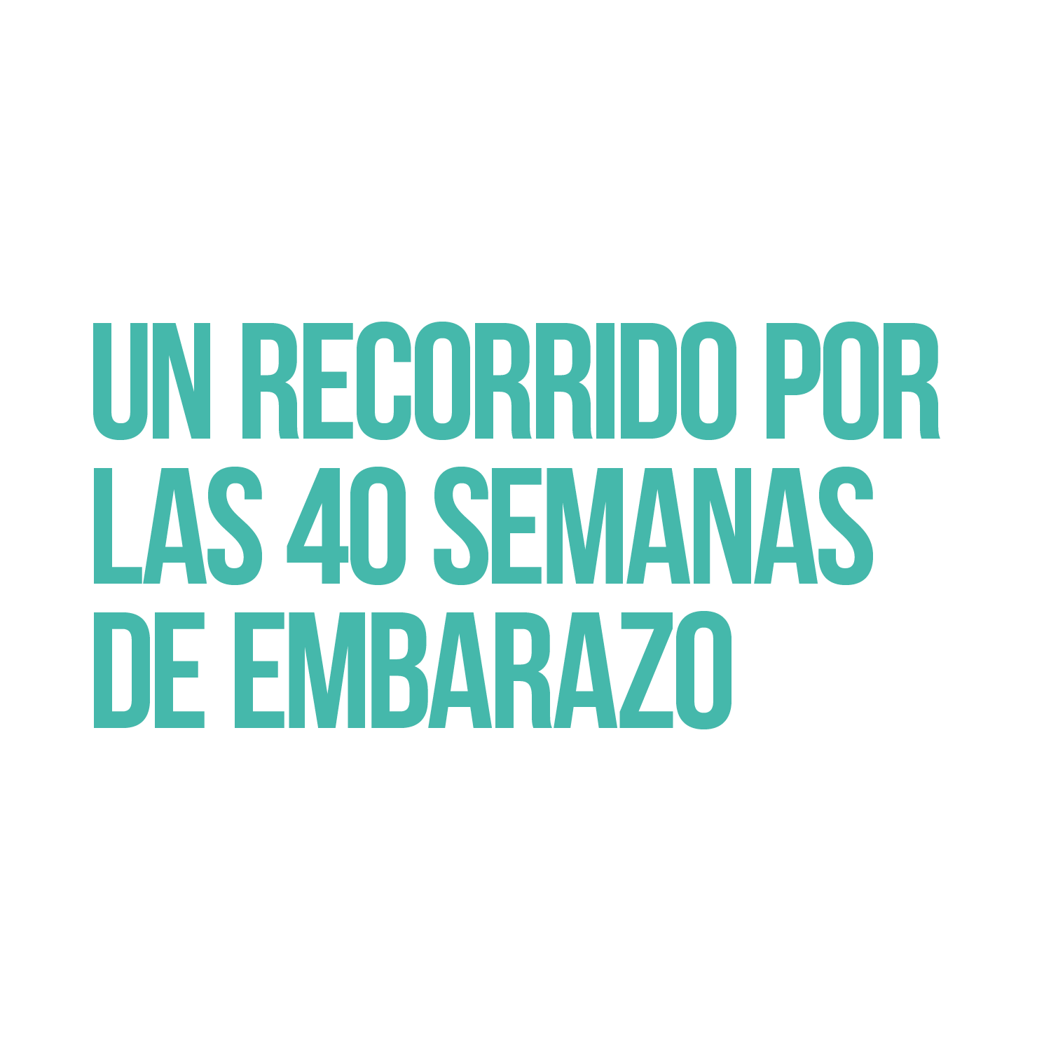 Un viaje por las 40 semanas de embarazo