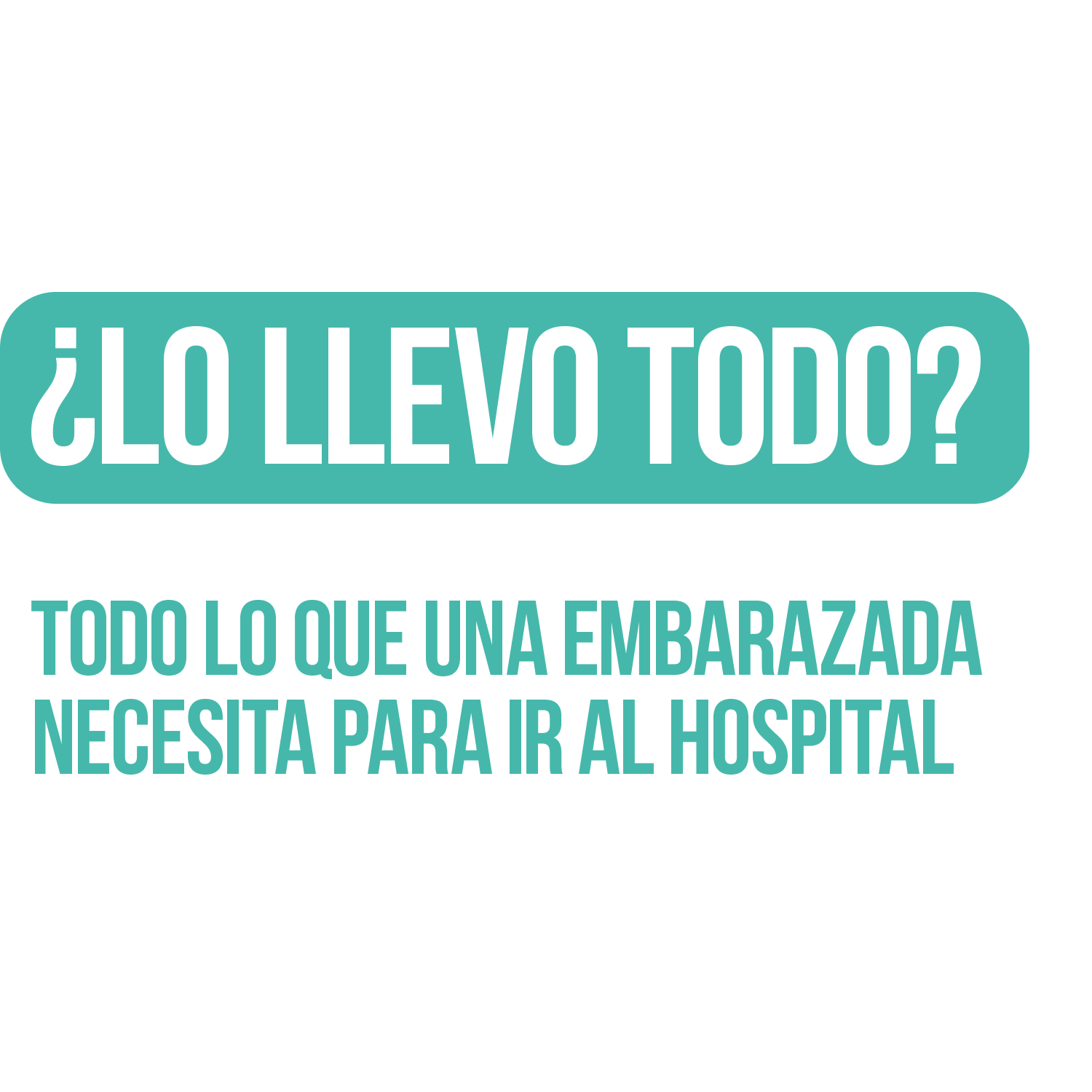 Lo llevo todo: Todo lo que una embarazada necesita para ir al hospital