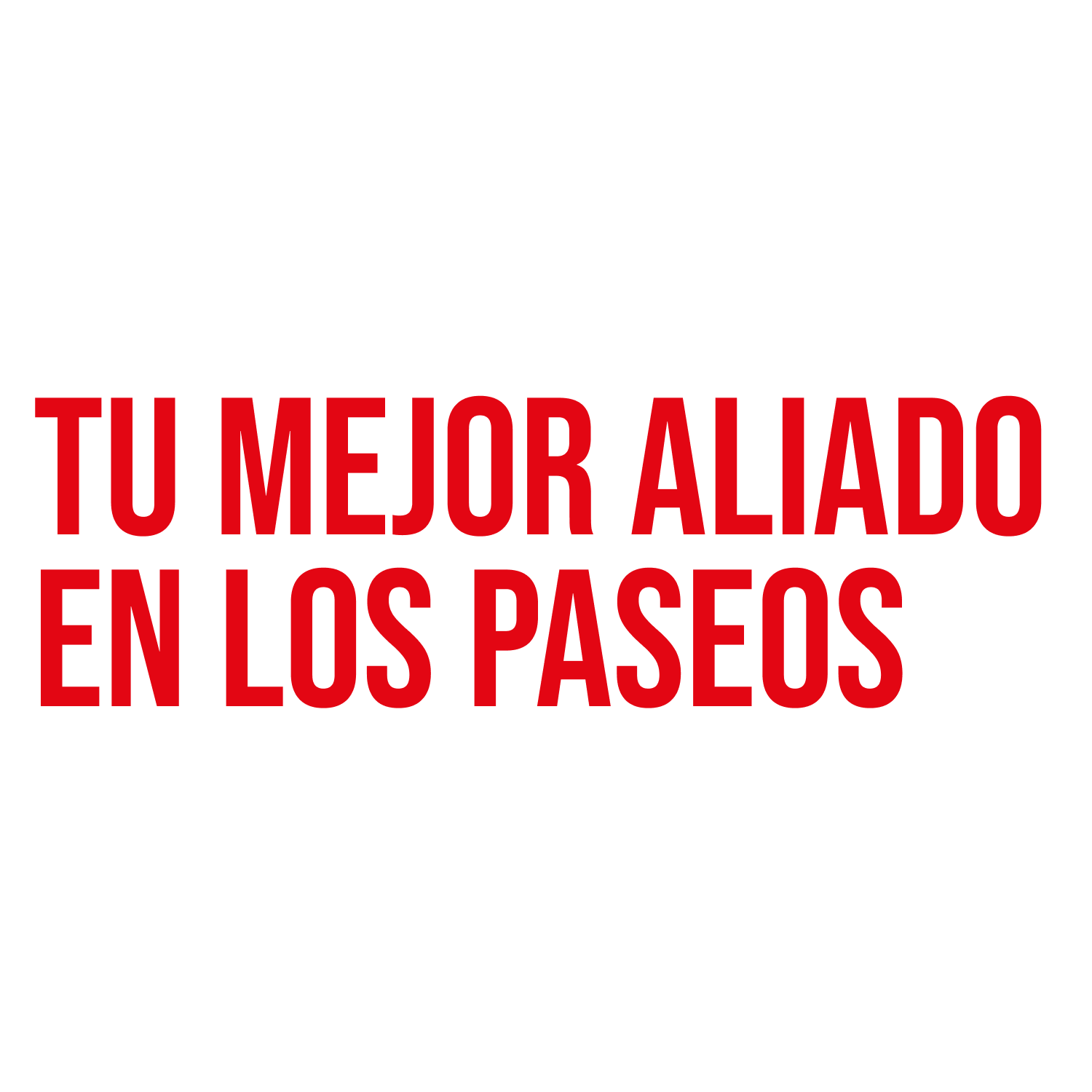 Tu mejor aliado en los paseos